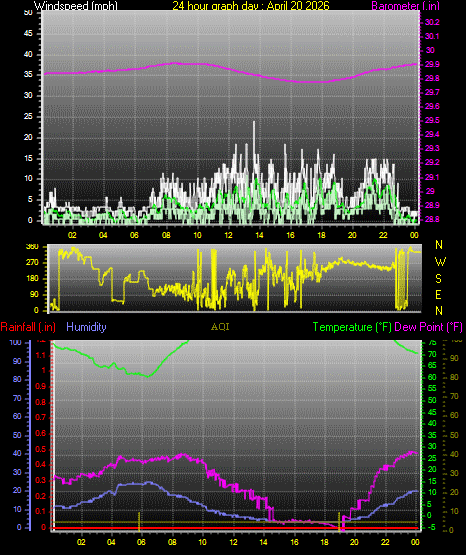 24 Hour Graph for Day 20